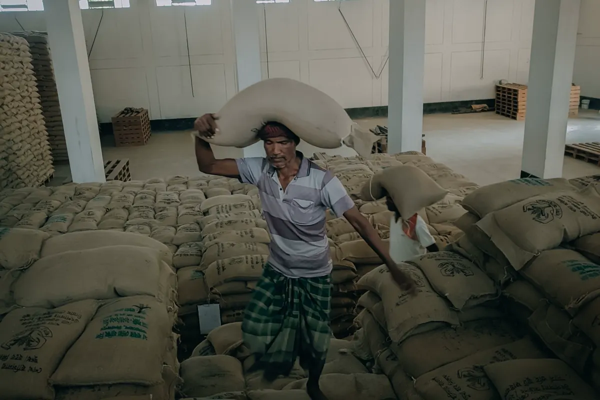 Sacks of agricultural produce